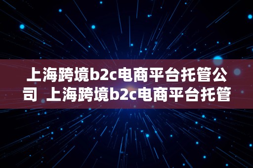 上海跨境b2c电商平台托管公司  上海跨境b2c电商平台托管公司有哪些