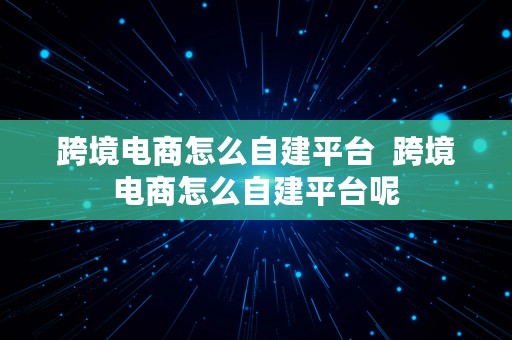 跨境电商怎么自建平台  跨境电商怎么自建平台呢