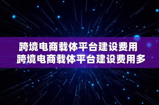 跨境电商载体平台建设费用  跨境电商载体平台建设费用多少