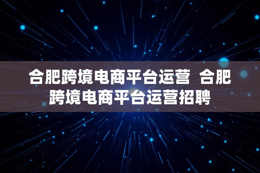 合肥跨境电商平台运营  合肥跨境电商平台运营招聘