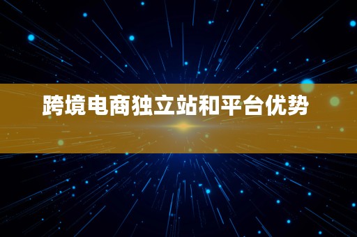 跨境电商独立站和平台优势  