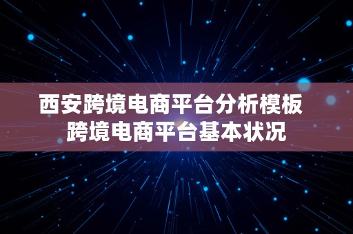西安跨境电商平台分析模板  跨境电商平台基本状况
