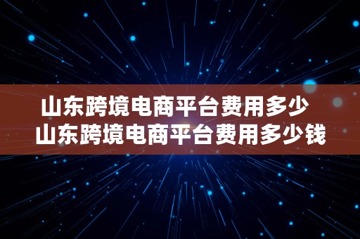 山东跨境电商平台费用多少  山东跨境电商平台费用多少钱