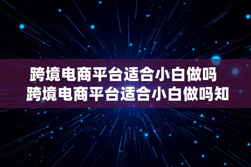 跨境电商平台适合小白做吗  跨境电商平台适合小白做吗知乎