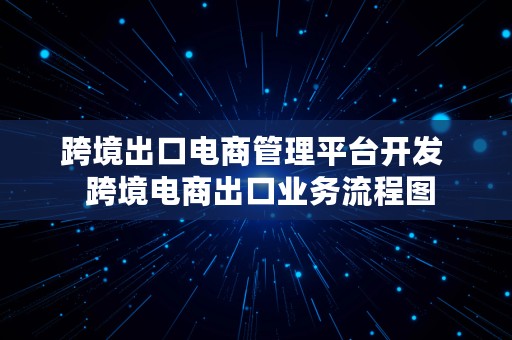 跨境出口电商管理平台开发  跨境电商出口业务流程图