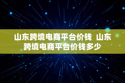 山东跨境电商平台价钱  山东跨境电商平台价钱多少