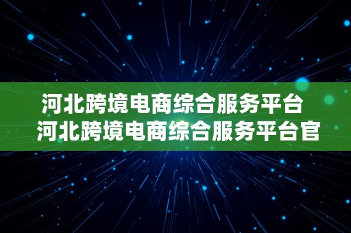 河北跨境电商综合服务平台  河北跨境电商综合服务平台官网