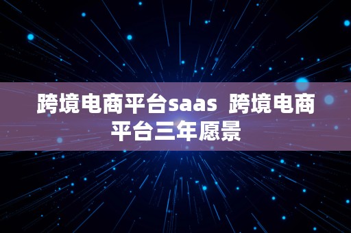 跨境电商平台saas  跨境电商平台三年愿景