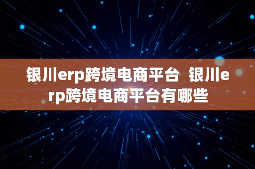 银川erp跨境电商平台  银川erp跨境电商平台有哪些