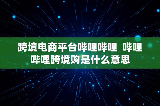 跨境电商平台哔哩哔哩  哔哩哔哩跨境购是什么意思