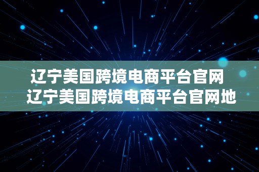 辽宁美国跨境电商平台官网  辽宁美国跨境电商平台官网地址