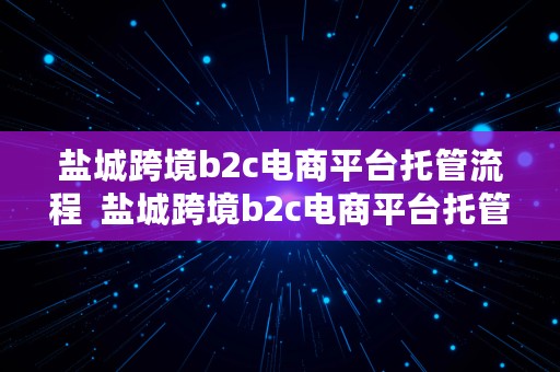 盐城跨境b2c电商平台托管流程  盐城跨境b2c电商平台托管流程图