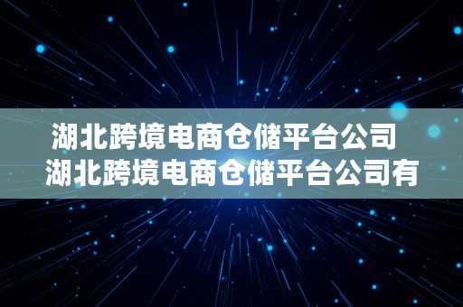 湖北跨境电商仓储平台公司  湖北跨境电商仓储平台公司有哪些