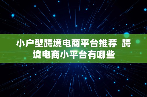 小户型跨境电商平台推荐  跨境电商小平台有哪些