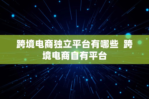 跨境电商独立平台有哪些  跨境电商自有平台