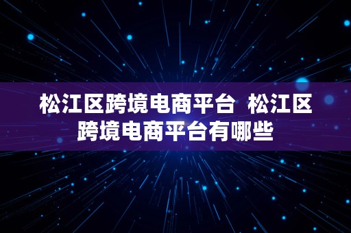 松江区跨境电商平台  松江区跨境电商平台有哪些