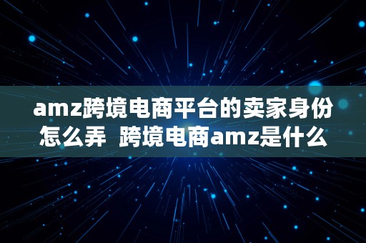 amz跨境电商平台的卖家身份怎么弄  跨境电商amz是什么