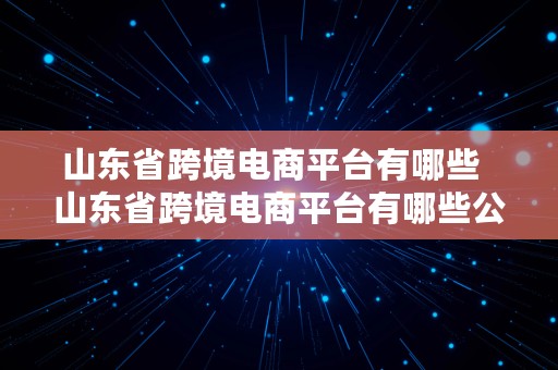 山东省跨境电商平台有哪些  山东省跨境电商平台有哪些公司