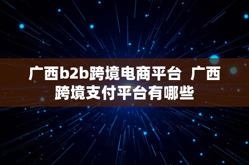 广西b2b跨境电商平台  广西跨境支付平台有哪些