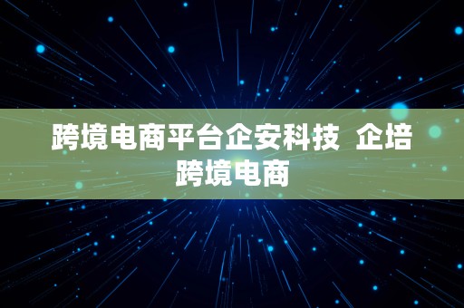 跨境电商平台企安科技  企培跨境电商