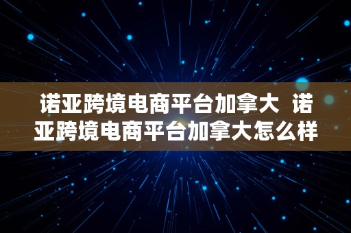 诺亚跨境电商平台加拿大  诺亚跨境电商平台加拿大怎么样