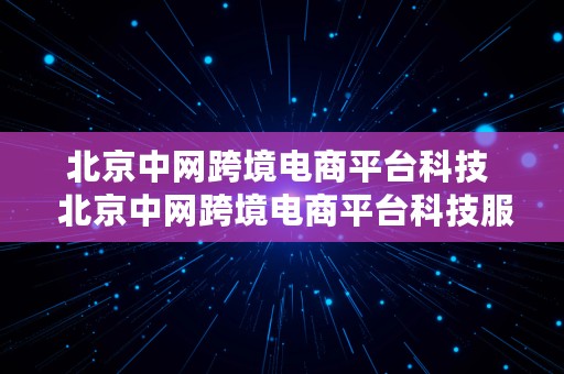 北京中网跨境电商平台科技  北京中网跨境电商平台科技服务有限公司