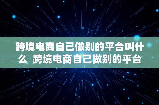 跨境电商自己做别的平台叫什么  跨境电商自己做别的平台叫什么名字