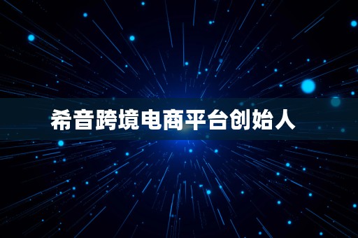 希音跨境电商平台创始人  