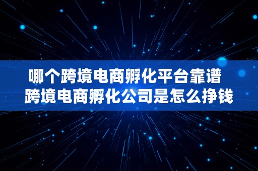 哪个跨境电商孵化平台靠谱  跨境电商孵化公司是怎么挣钱的