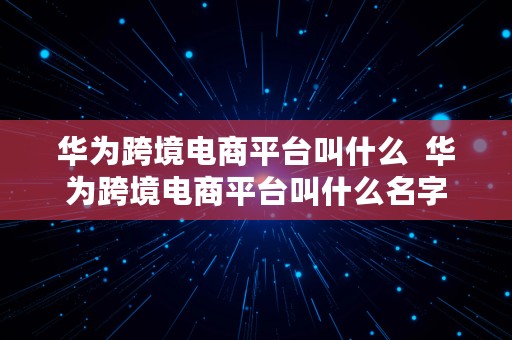 华为跨境电商平台叫什么  华为跨境电商平台叫什么名字