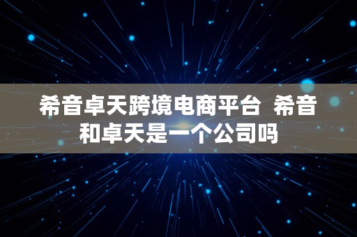 希音卓天跨境电商平台  希音和卓天是一个公司吗