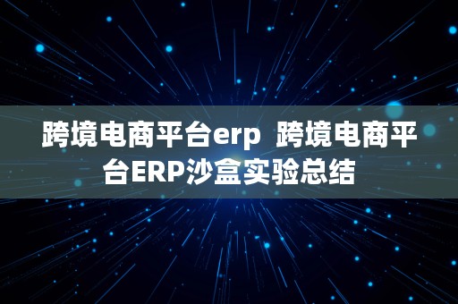 跨境电商平台erp  跨境电商平台ERP沙盒实验总结