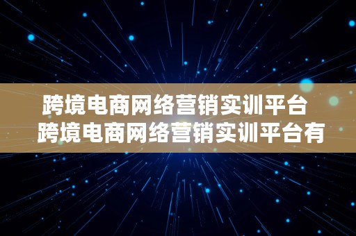 跨境电商网络营销实训平台  跨境电商网络营销实训平台有哪些