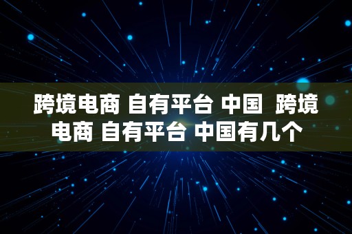 跨境电商 自有平台 中国  跨境电商 自有平台 中国有几个