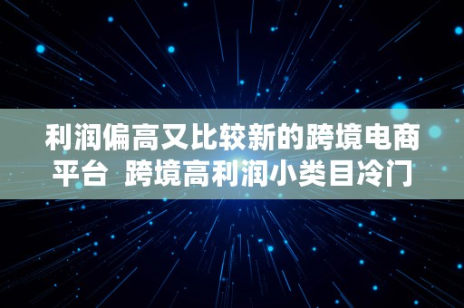 利润偏高又比较新的跨境电商平台  跨境高利润小类目冷门产品