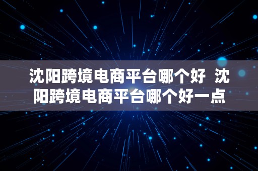 沈阳跨境电商平台哪个好  沈阳跨境电商平台哪个好一点