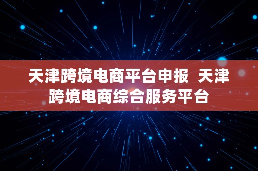 天津跨境电商平台申报  天津跨境电商综合服务平台