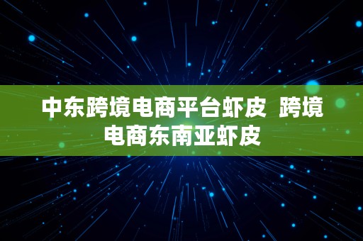 中东跨境电商平台虾皮  跨境电商东南亚虾皮