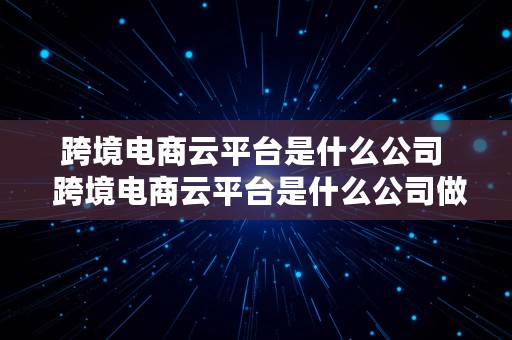 跨境电商云平台是什么公司  跨境电商云平台是什么公司做的