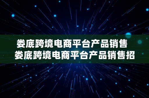 娄底跨境电商平台产品销售  娄底跨境电商平台产品销售招聘