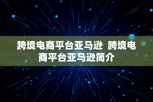 跨境电商平台亚马逊  跨境电商平台亚马逊简介