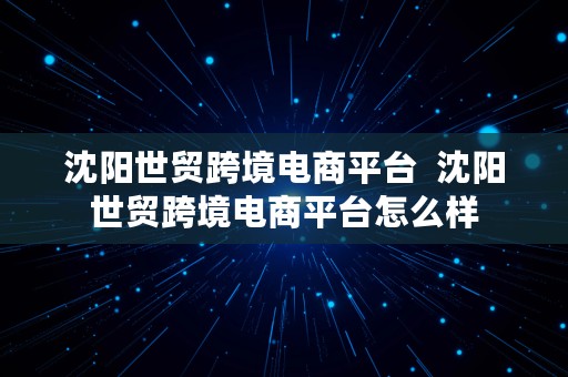 沈阳世贸跨境电商平台  沈阳世贸跨境电商平台怎么样