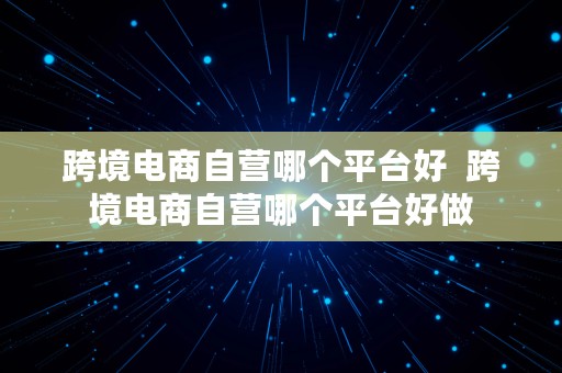 跨境电商自营哪个平台好  跨境电商自营哪个平台好做