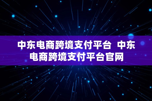 中东电商跨境支付平台  中东电商跨境支付平台官网