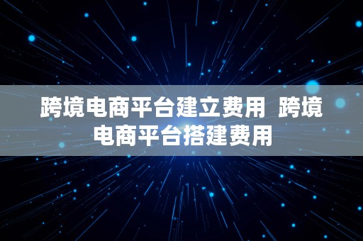 跨境电商平台建立费用  跨境电商平台搭建费用