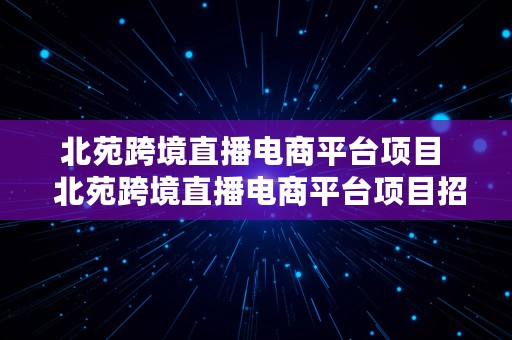 北苑跨境直播电商平台项目  北苑跨境直播电商平台项目招标