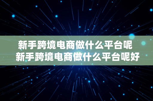 新手跨境电商做什么平台呢  新手跨境电商做什么平台呢好做吗