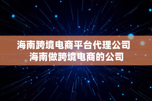 海南跨境电商平台代理公司  海南做跨境电商的公司