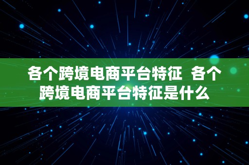 各个跨境电商平台特征  各个跨境电商平台特征是什么