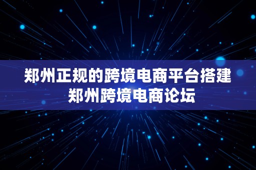 郑州正规的跨境电商平台搭建  郑州跨境电商论坛